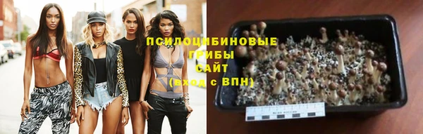 прущие крисы Алзамай
