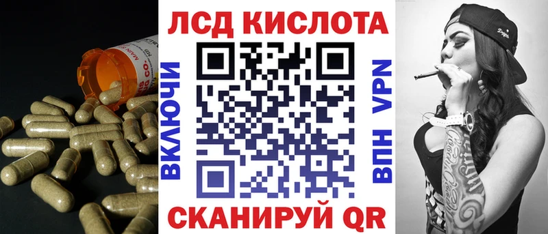 продажа наркотиков мега онион Лсд 25 экстази ecstasy Карачев