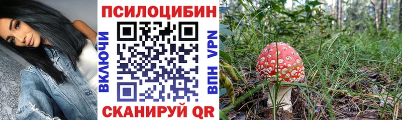 купить наркотики сайты  Карачев  Псилоцибиновые грибы MAGIC MUSHROOMS 
